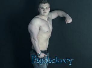 Bigdickroy