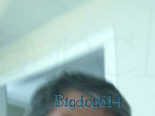 Bigdog614