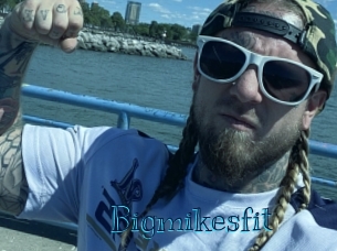 bigmikesfit Archive DVD BIZ