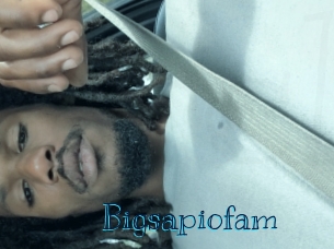 Bigsapiofam