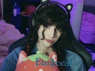 bimbocat Archive DVD BIZ