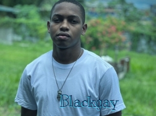 blackgay Archive DVD BIZ