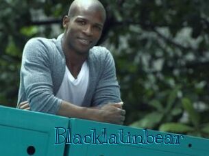 Blacklatinbear