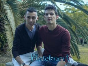 Bleicknort