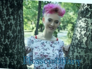 blossomtiffany Archive DVD BIZ