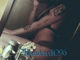 Bluebird096