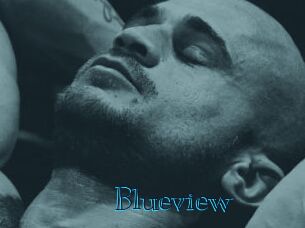 Blueview