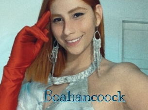 boahancoock Archive DVD BIZ