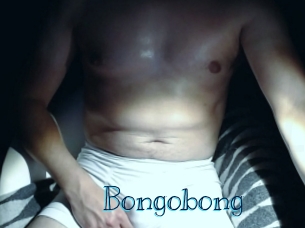 bongobong Archive DVD BIZ