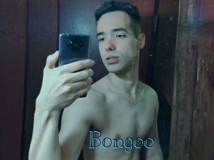 Bongoo