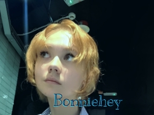 bonniehey Archive DVD BIZ