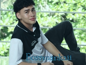 bossmankaii Archive DVD BIZ