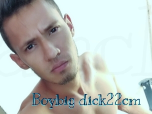 Boybig_dick22cm