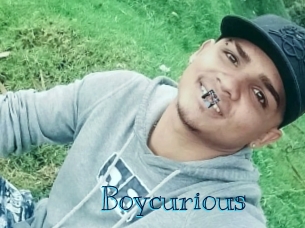 boycurious Archive DVD BIZ