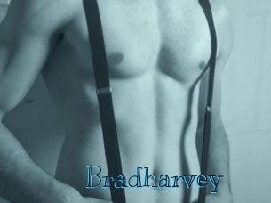 Bradharvey