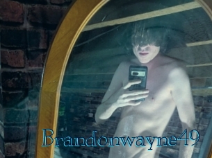 brandonwayne49 Archive DVD BIZ