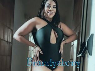 Brandyebony
