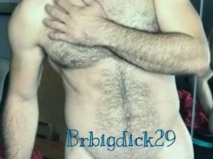 Brbigdick29