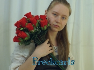 breckcarls Archive DVD BIZ