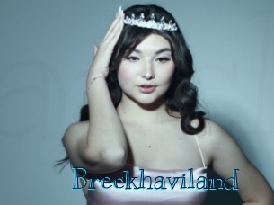 breckhaviland Archive DVD BIZ