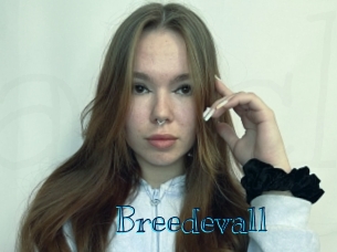 Breedevall