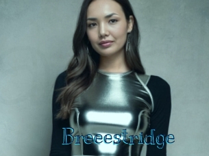 Breeestridge