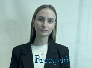 Breegriff