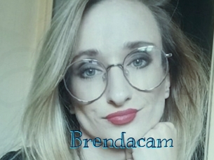 Brendacam