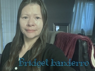 Bridget_banderro