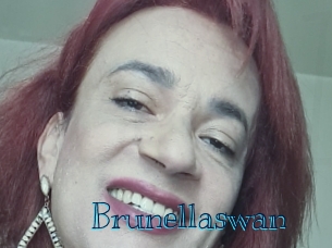 brunellaswan Archive DVD BIZ