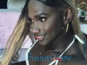 bunnyrouse Archive DVD BIZ