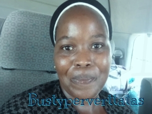 bustyperverttatas Archive DVD BIZ