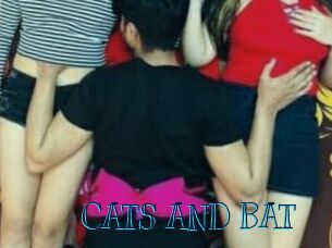 CATS_AND_BAT