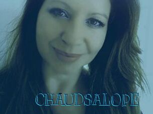 CHAUDSALOPE
