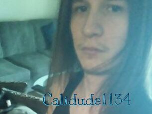 Calidude1134