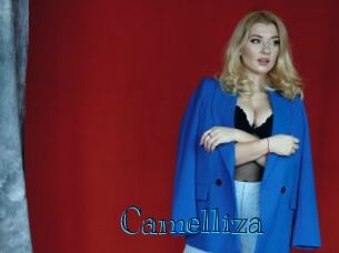 Camelliza