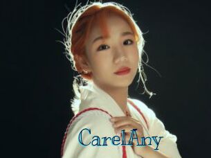 CarelAny Archive DVD BIZ