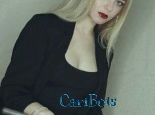 CariBois