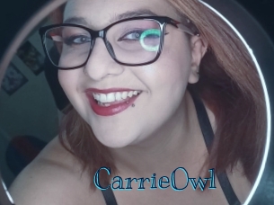 CarrieOwl Archive DVD BIZ