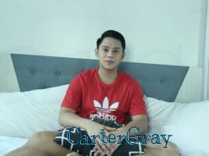 CarterGray Archive DVD BIZ
