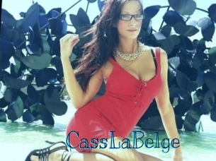 CassLaBelge Archive DVD BIZ