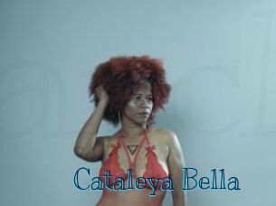 Cataleya_Bella