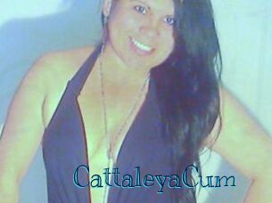 CattaleyaCum