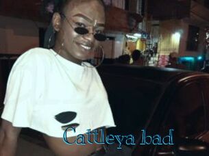 Cattleya_bad