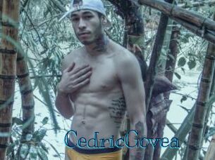 CedricGovea