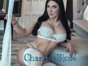 ChandrelRose Archive DVD BIZ