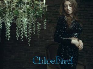 ChloeBird
