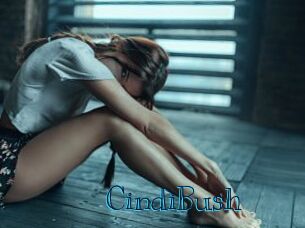 CindiBush