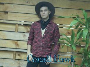 Conall_Hawk