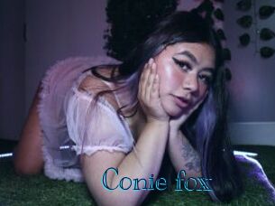 Conie_fox